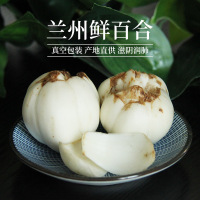 【中华特色】甘肃馆 甘肃兰州鲜百合16头1斤*2快递箱装 小号鲜百合 熬汤 煲粥 炒菜 生吃 味道美味