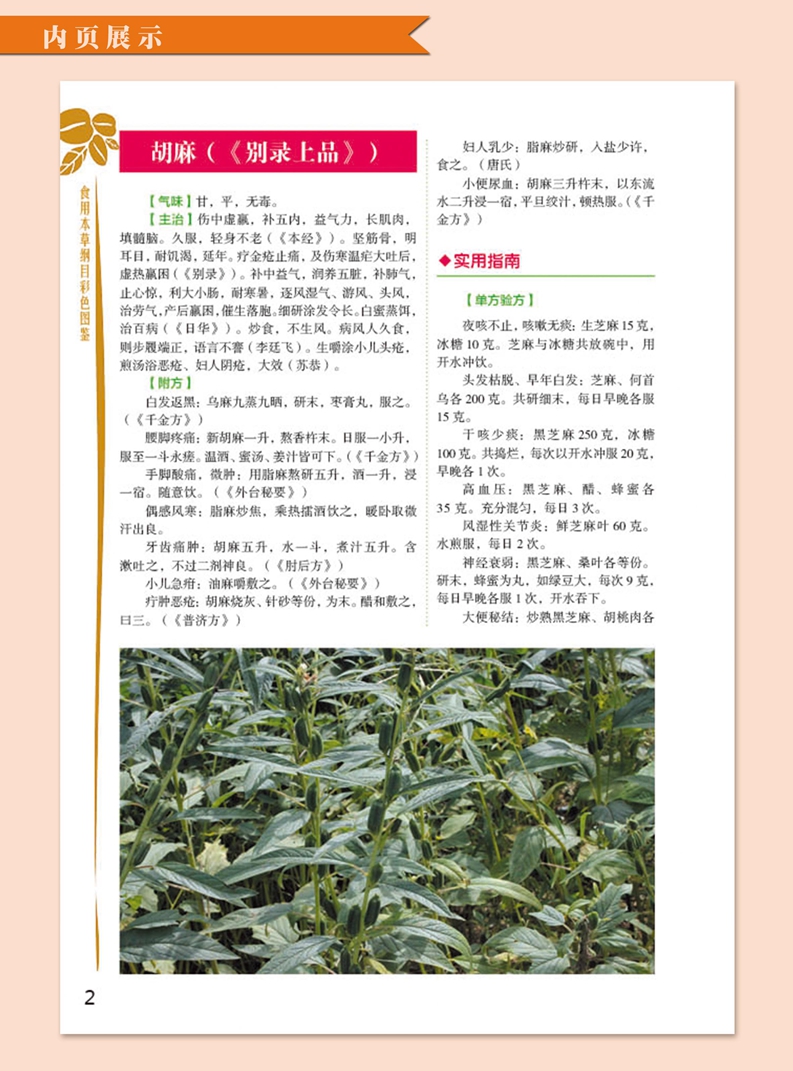 [醉染正版]食用本草纲目彩色图鉴彩图版 中草药食物本草彩色图谱图集 草部谷豆部菜部果部等中药材气味主治附单方验方食疗药膳高清大图