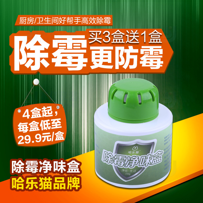除霉净味盒空气净化异味霉菌清除剂菌去霉斑墙体除霉剂《1瓶装》