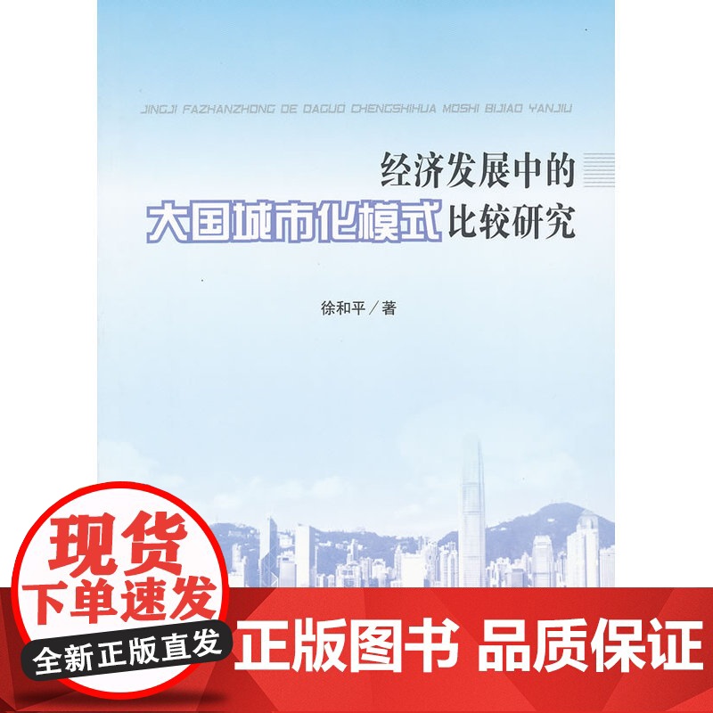 经济发展中的大国城市化模式比较研究
