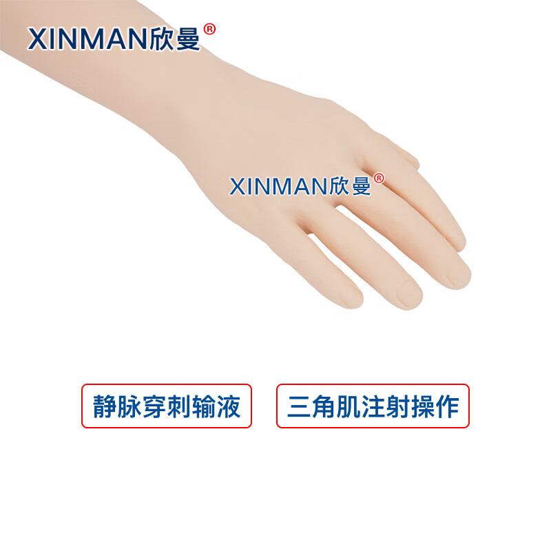 欣曼科教 静脉输液模拟训练模块 静脉穿刺输液手臂及肌肉注射模型XM-S1010高清大图