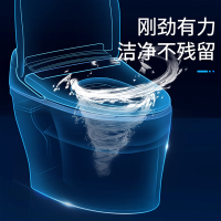 东鹏(DONG PENG) 智能马桶 一体式智能座便器连体式喷射虹吸式带遥控模式全自动坐便器地排300MM/400MM
