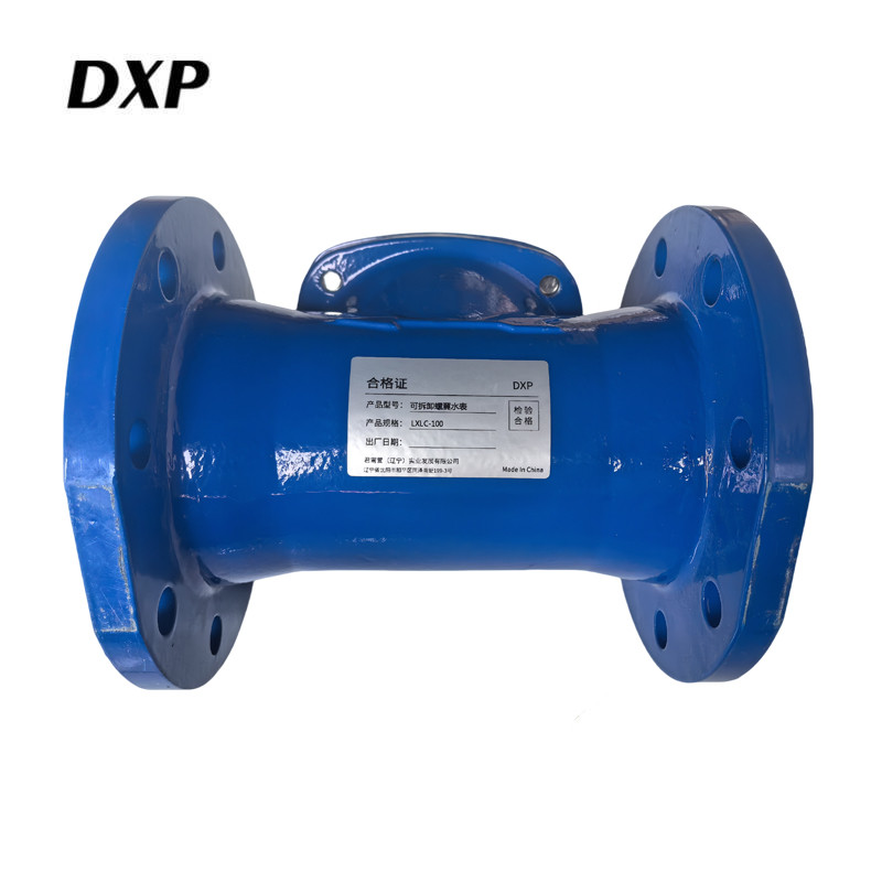 DXP 可拆卸螺翼水表 LXLC-100 块高清大图