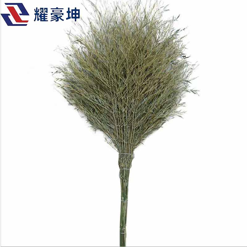 耀豪坤大扫把带叶约6斤 ZGS高清大图