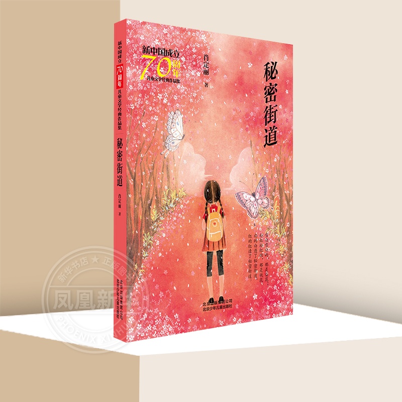 秘密街道 [正版]秘密街道 肖定丽著儿童文学作品集9-15岁青少年儿童文学阅读书籍儿童成长读物课外阅读书籍北京少年儿童出高清大图