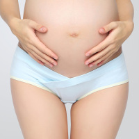 孕妇内裤低腰内衣托腹短裤产妇无痕大码U型三角裤头精梳棉 XL 黄边蓝底色