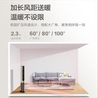 格力(GREE)暖风机 冷暖两用电风扇大面积取暖电暖器遥控落地扇节能两档调节智能定时多重安全保护FLZ-10X61RBg