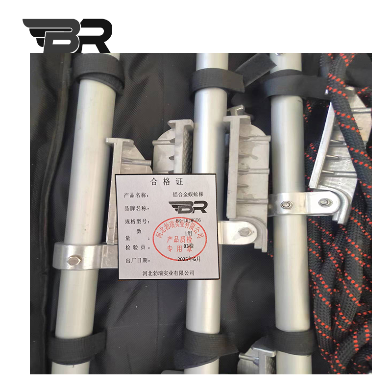 BR/铝合金蜈蚣梯/BR-LHJWGT6/组高清大图