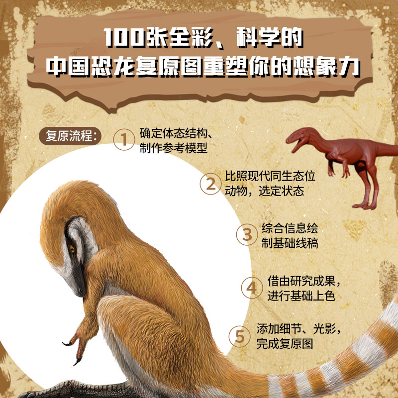 中国恐龙博物馆 [正版]7-10岁中国恐龙博物馆 邢立达 著 国民恐龙百科全书 科普百科 中国恐龙故事 恐龙复原图 古生高清大图