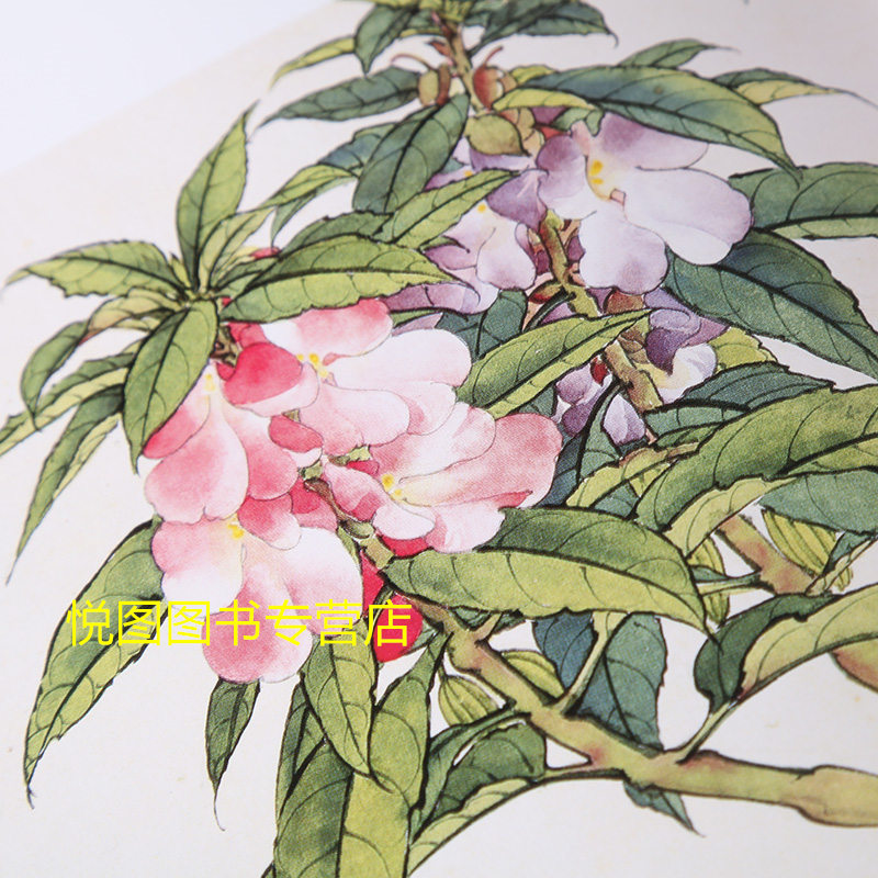 [正版]百花工笔画集 田世光 于非闇 俞致贞绘 荣宝斋出版 工笔花鸟花卉白描图集作品集 附编工笔白描花卉 勾勒花卉法 花高清大图
