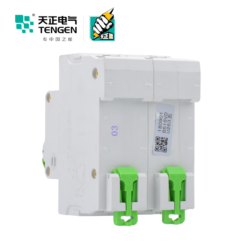 天正电气瑞彩系列TGBH-125 空气开关 6KA 2P C 63A 335013800241 微型断路器