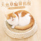 宠物窝猫窝大号碗形猫抓板编织藤编藤窝四季通用猫爪夏天用品猫