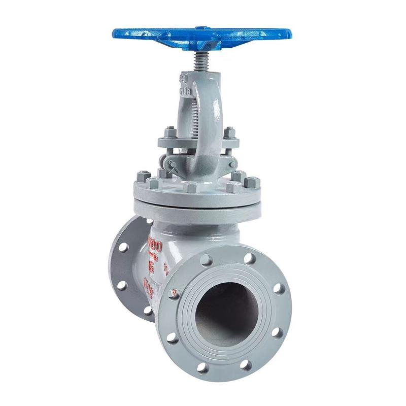 伟鹏双兴 铸钢法兰式截止阀 DN300 台高清大图