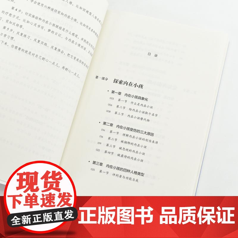 我与我 内在小孩的觉知与成长 心理学书籍疗愈你的内在小孩养育你内心的小孩解决自我冲突原生家庭童年创伤与自己和解高清大图