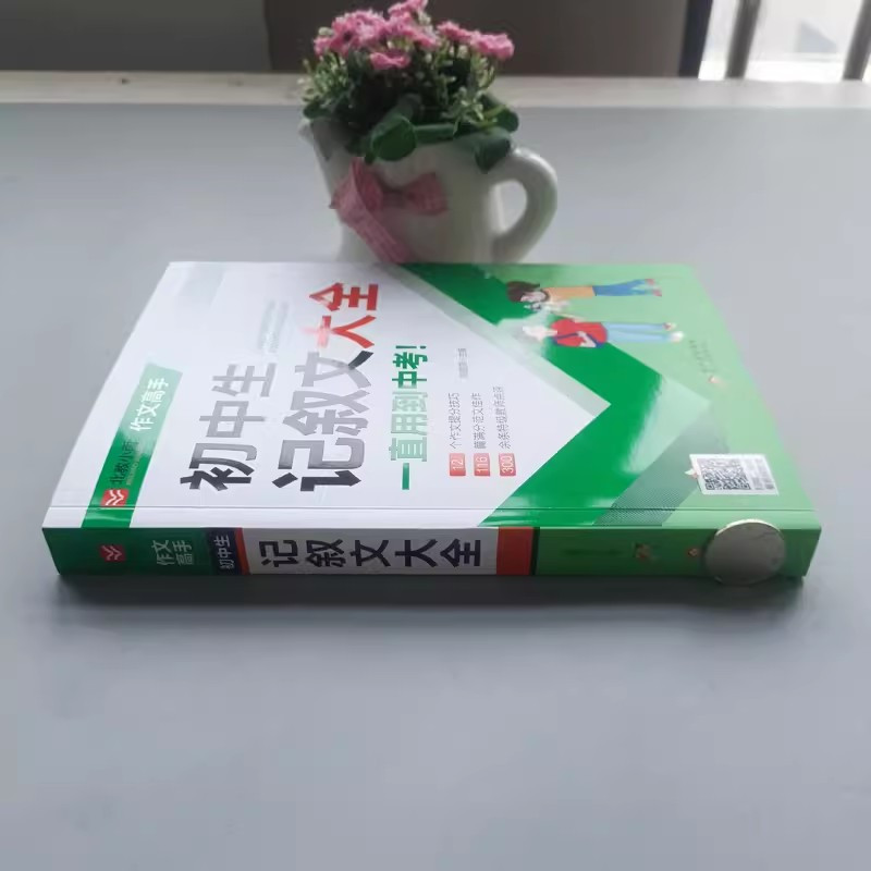 初中生好词好句好段大全 初中通用 [正版]YS小雨作文工具辅导王初中生作文大全分类满分获奖作文记叙文议论文好词好句好