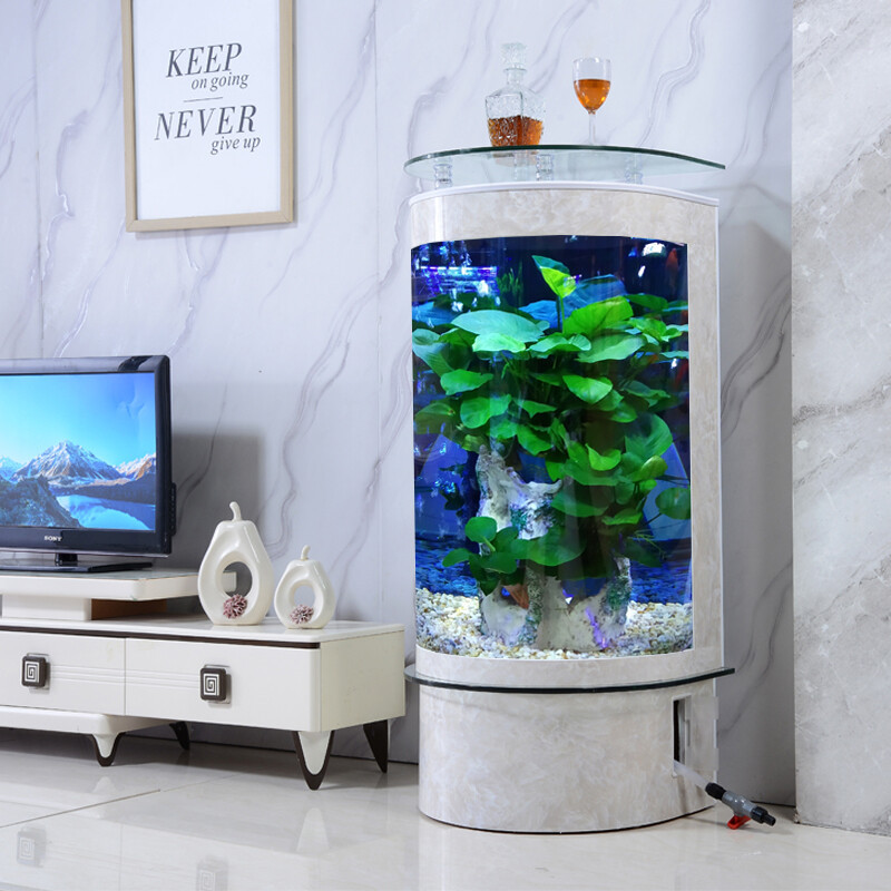 鱼缸客厅小型家用造景落地半圆形玻璃鱼缸水族箱生态免换水轻奢新款立式圆柱形鱼缸