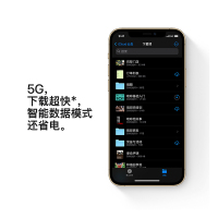 Apple iPhone 12 Pro 128G 金色 移动联通电信5G全网通手机 拍照摄影游戏全面屏智能旗舰手机
