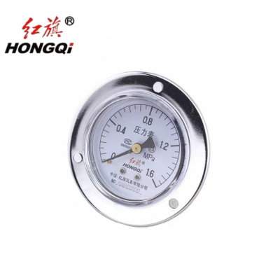 红旗 压力表轴向带边定制检测款Y50ZT (压力值需备注) 块