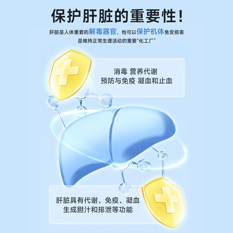 北京同仁堂 葛根桑椹枳椇子片蓝帽子保健对化学性肝损伤有保护功能
