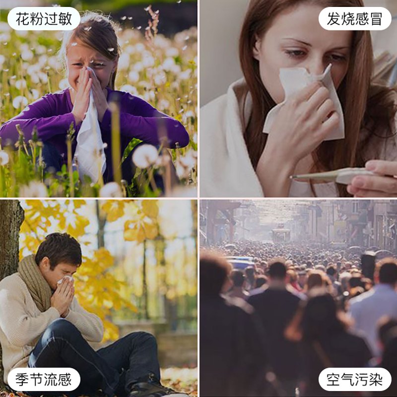 日本爱丽思防雾霾KN95口罩防尘透气女防晒男时尚个性易呼吸一次性4袋[12枚装]
