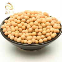 粮年隆大黄豆椭圆形笨黄豆非转基因黄豆老品种大豆五谷杂粮450g