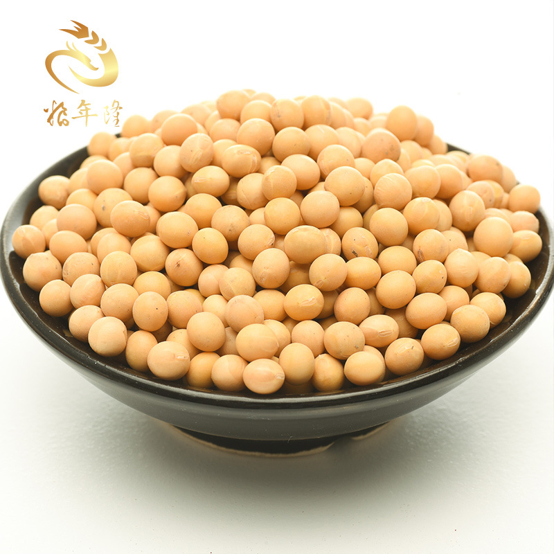 粮年隆大黄豆椭圆形笨黄豆非转基因黄豆老品种大豆五谷杂粮450g