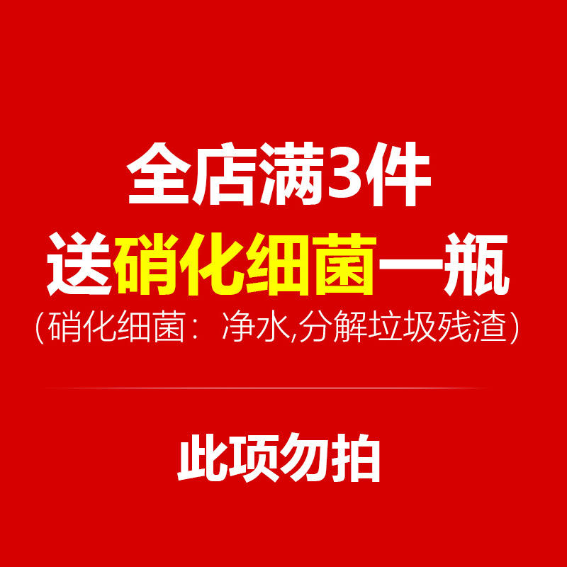 大九叶皇冠草真水草鱼缸装饰懒人水草淡水有茎类中后景性草