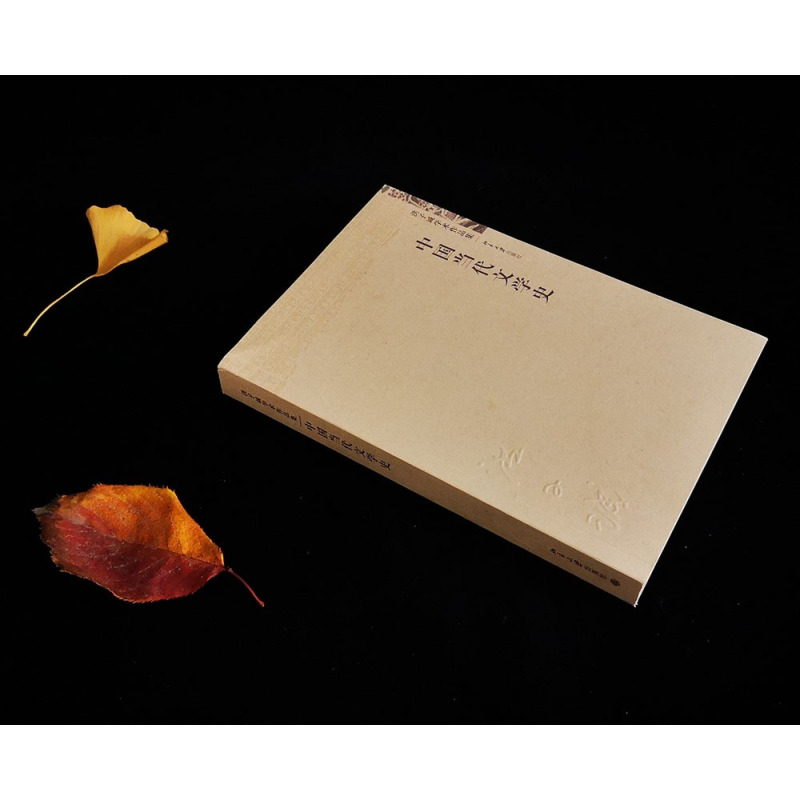 [正版]直营中国当代文学史 洪子诚学术作品集 在史观和研究方法上具有开创性价值的文学史著作 北京大学出版社 书籍