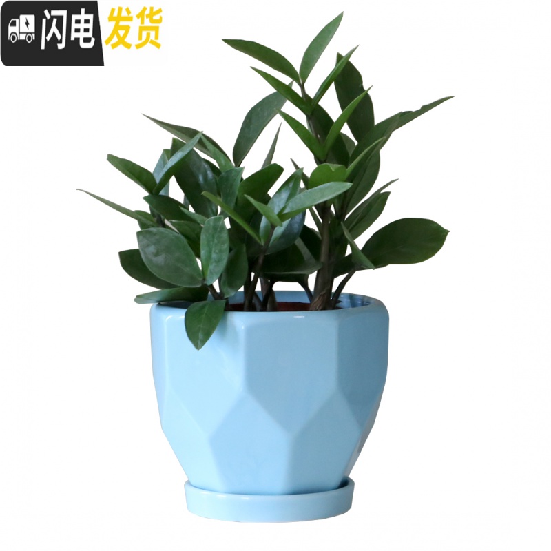 三维工匠陶瓷花盆带陶瓷托盘特大号大号简约家用绿萝吊兰花盆 HY70005-04花边红 特大花盆容器高清大图