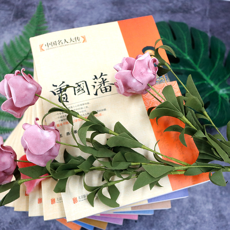 [正版]全9册中国名人大传曾国藩传+左宗棠+张之洞+李鸿章+梁启超+康有为+纪晓岚+郑板桥+胡雪岩传 历史人物名人传记自高清大图