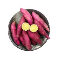 【中华特色】凤翔馆陕西凤翔关中缘 桂花板栗红薯2斤 新鲜地瓜番薯 陕西特产 红皮小红芋 1kg西北