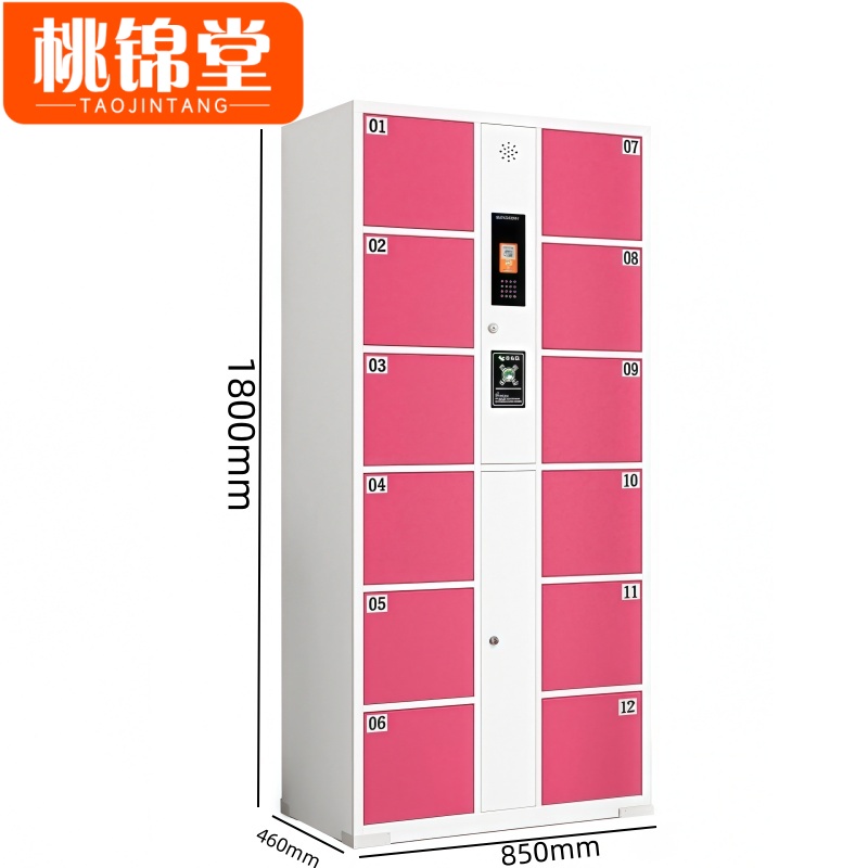 桃锦堂存包柜 智能柜12门台