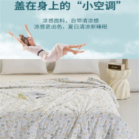 恒源祥春日花园靠枕夏被TSB2035 200cm*230cm 单位:条