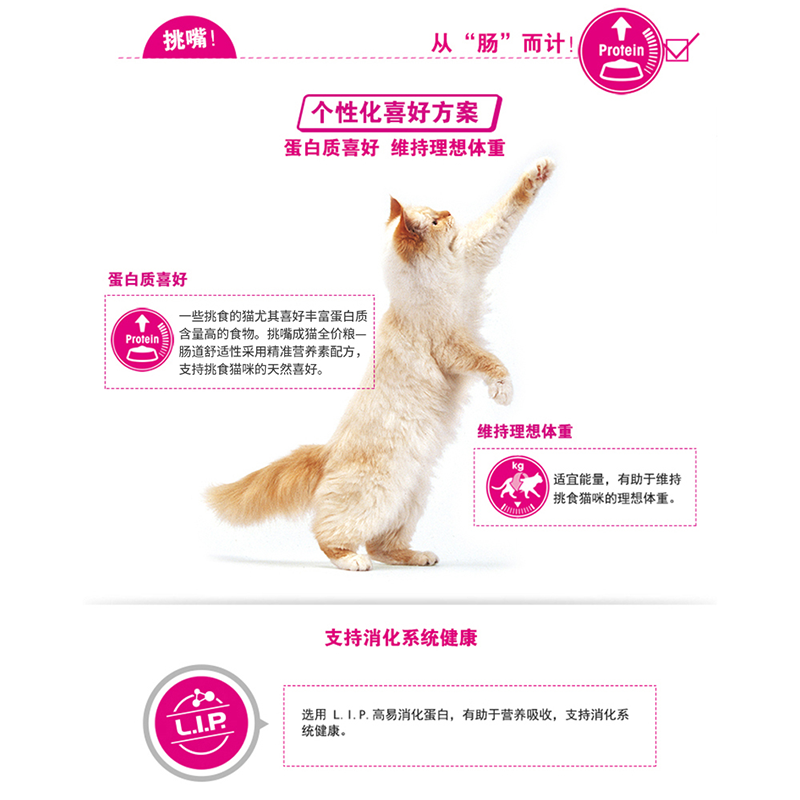 皇家 (royal canin) 猫粮 EP42全能优选 成猫猫粮-肠道舒适型 10kg
