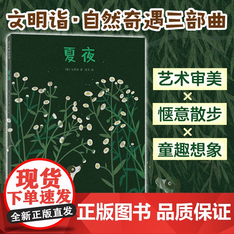 夏夜 文明诣 著 文明诣 编 高艾 译新星出版社 绘本小学生一年级二年级三年级课外书正版寒假暑假阅读高清大图