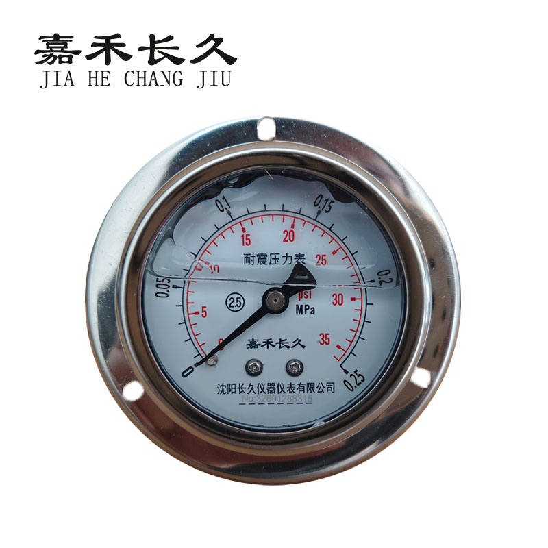 嘉禾长久 耐震压力表轴向带边检测型 YTN60ZT 块 0-0.25Mpa