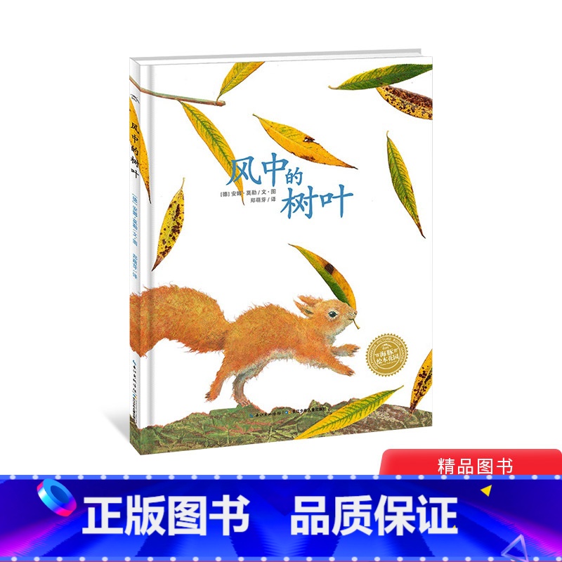 风中的树叶(精装) 【正版】风中的树叶硬壳精装图画书海豚绘本花园精选有效引导孩子们进入思考状态引发对生命意识的启蒙童书