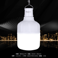 雷士照明 (NVC) led灯泡尖泡吊灯壁灯家用5瓦6瓦照明蜡烛尖泡充电球泡柱形泡 测试商品