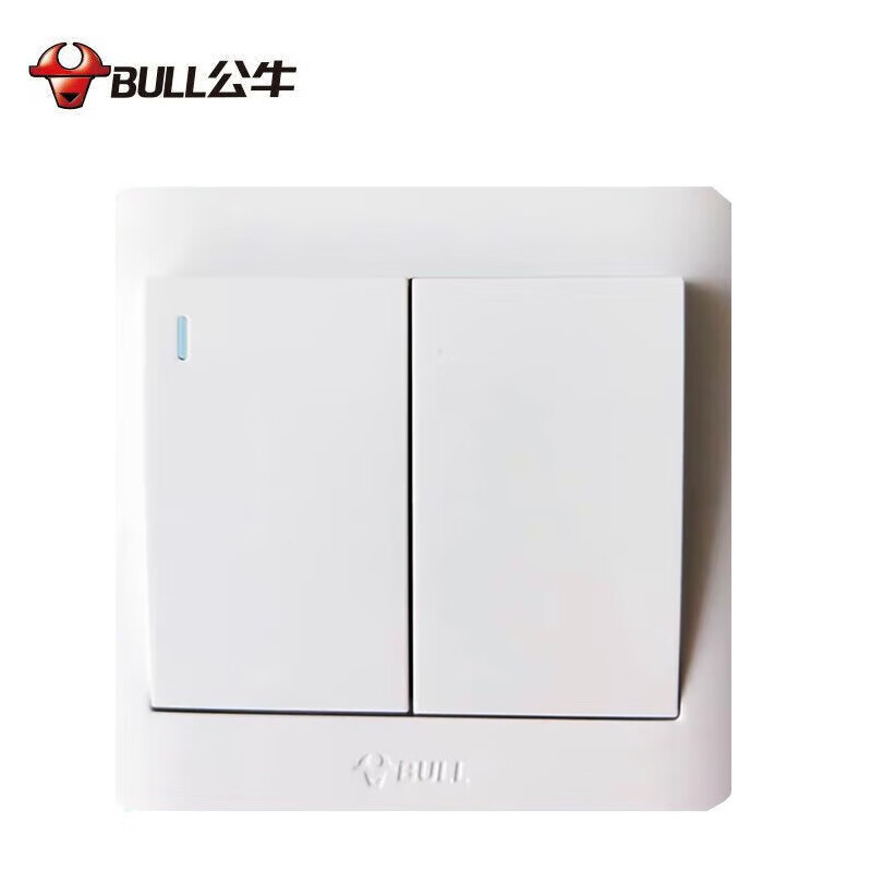 公牛 开关面板 二位单极带荧光开关 二开单控 86型 (白色) 暗装 GN-G32K211