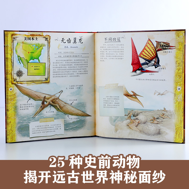 博物学家探秘手记拼插立体书 探秘恐龙 [正版]博物学家探秘手记拼插立体书 探秘恐龙3-6-8-10岁儿童揭秘恐龙科普百科高清大图