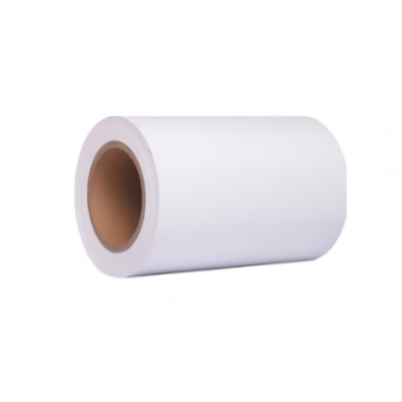 萨威帝尔 300mm*15m 胶贴 (计价单位:卷) 白色