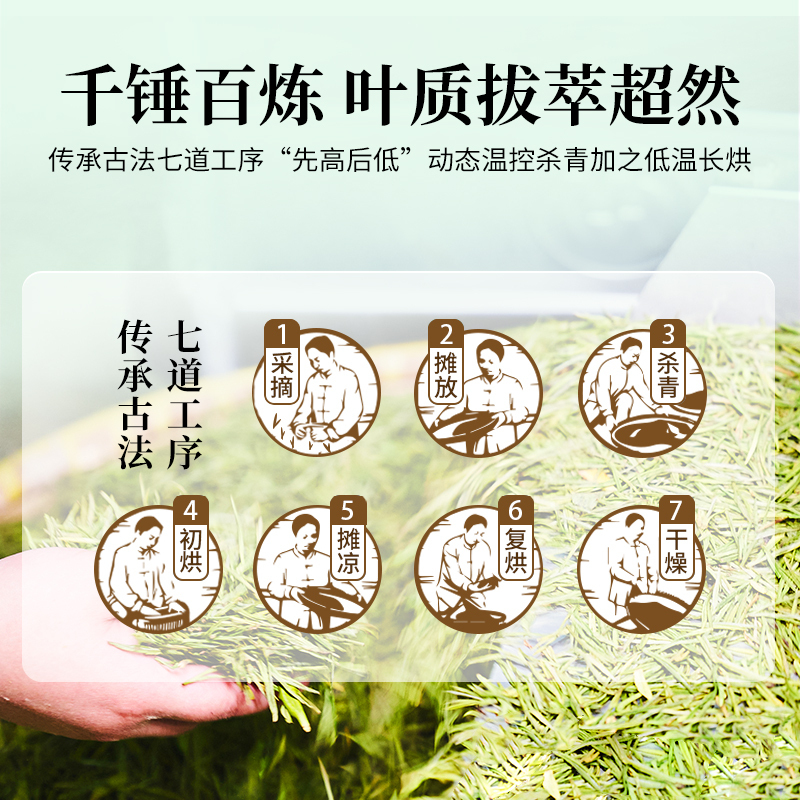 狮峰牌2025新茶明前特级优选安吉白茶茶叶100g散装春茶绿茶高清大图