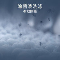 西门子 无界系列 10公斤全自动变频滚筒洗衣机家用 智能除渍 防过敏程序 除菌液洗 支持国家补贴 WG52E1U80W