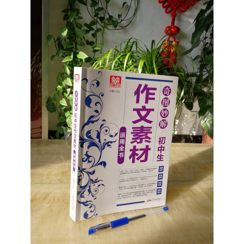 通用技术 [正版]书籍奇图妙解 初中生作文素材运用全书