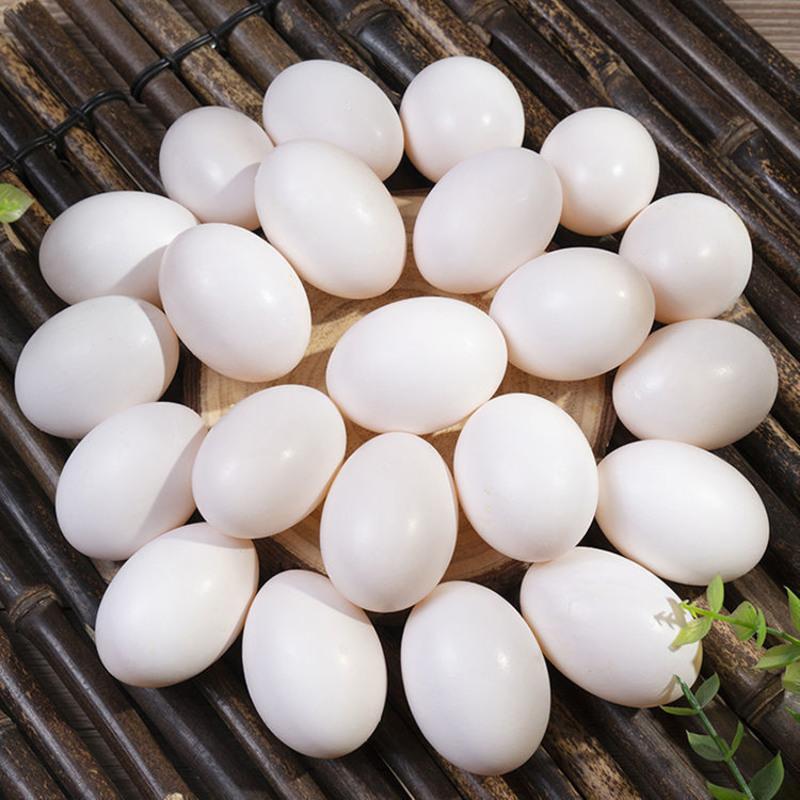60枚19-24克个头中等 新鲜鸽子蛋 鸽蛋五谷杂粮喂养鸽子蛋