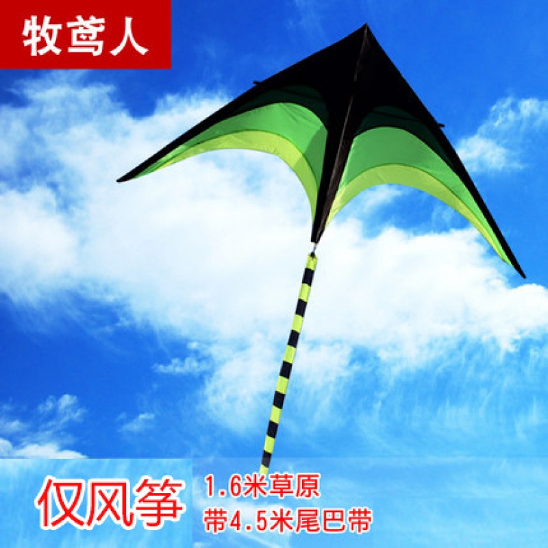 蝙蝠风筝儿童微风易飞成型2020新款立体潍坊初学者创意创意 三维工匠 1.6米草原+4.5米尾巴(仅风筝)高清大图