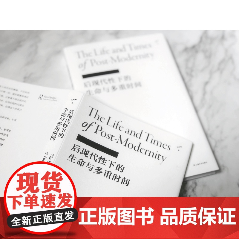 后现代性下的生命与多重时间 李康社会学译著 基思特斯特 反思后现代性 社会学 后现代 文学 上海文艺出版社梯社会学书系高清大图
