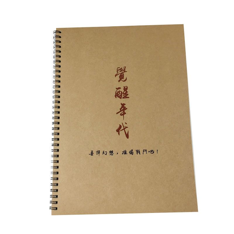 觉醒年代经典台词语录陈独秀鲁迅李大钊新青年成人楷书正楷练字帖 楷书 套餐一:具体见详情页