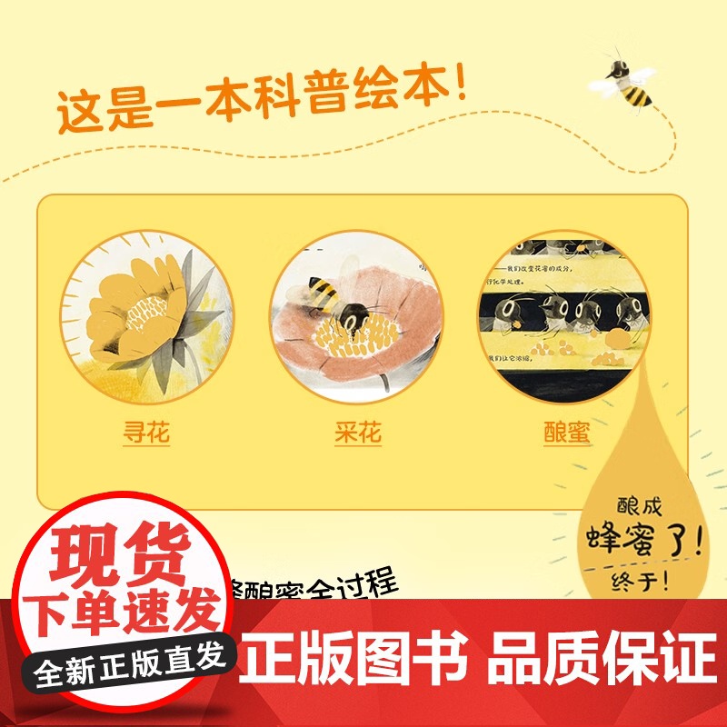 [央视网]看 蜜蜂 儿童绘本儿童低幼故事绘本 7-14岁 9787556263455 TJ高清大图