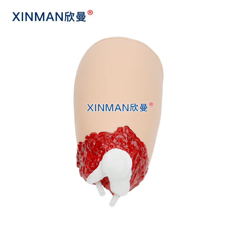 欣曼科教 控制出血大腿模型 下肢外伤断肢包扎止血模型 配备血液循环模拟器 XM-H608B高清大图